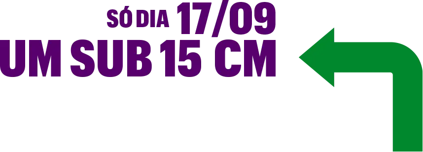 Só dia 17/09 um sub de 15cm de qualquer sabor,